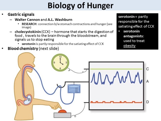 Biology of Hunger - Gastric Signals